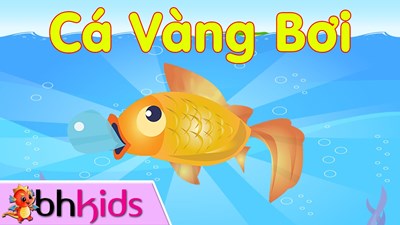 Bài hát:  Cá vàng bơi 