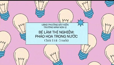 Pháo hoa trong nước