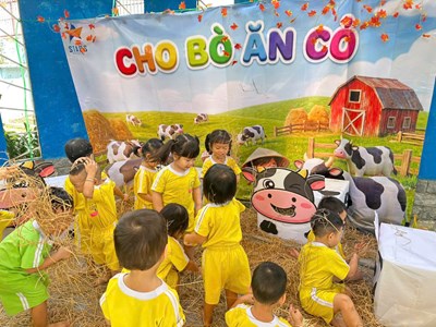 - Ngày hội tết quê em