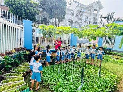 Hoạt động ngoài trời của lớp 5-6 Tuổi (A)