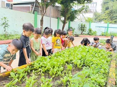 ☀ 🌻 hoạt động ngoài trời - thế giới khám phá của trẻ. 🌱 🌿